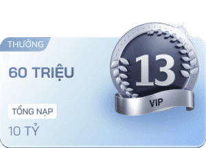 vip 13