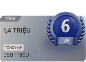 vip 6
