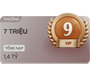 vip 9